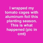 FB IMG