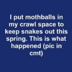 FB IMG