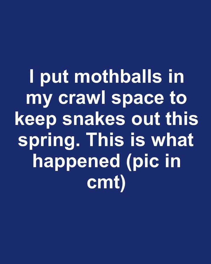 FB IMG