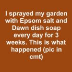 FB IMG