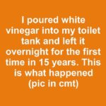 FB IMG