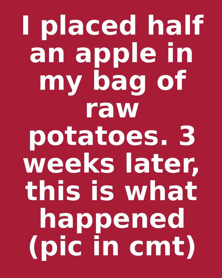 FB IMG
