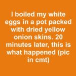 FB IMG