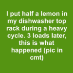 Image 2026 08 08
