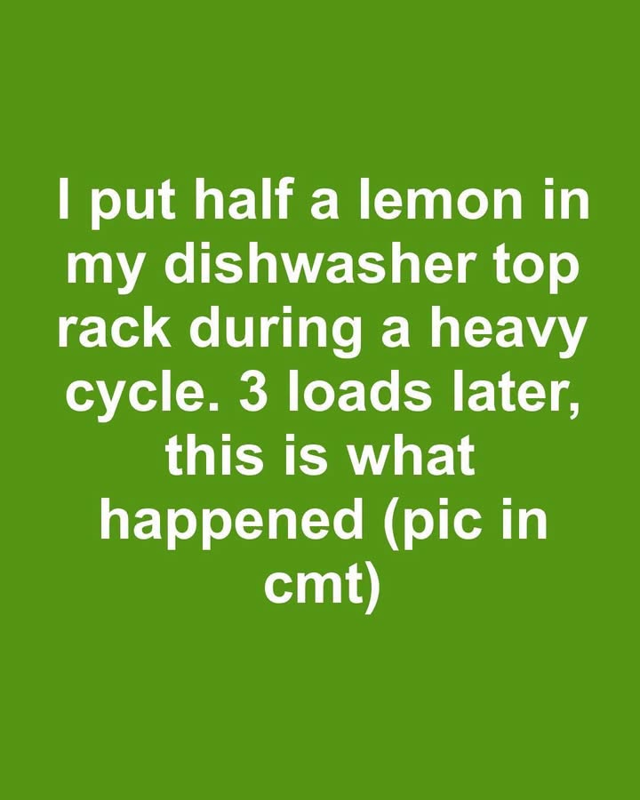Image 2026 08 08