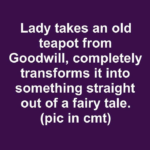 Image 2026 08 11
