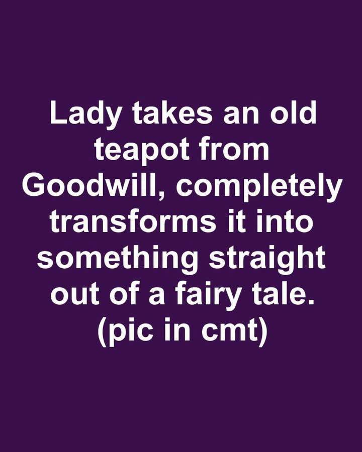 Image 2026 08 11