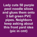 Image 2026 08 12