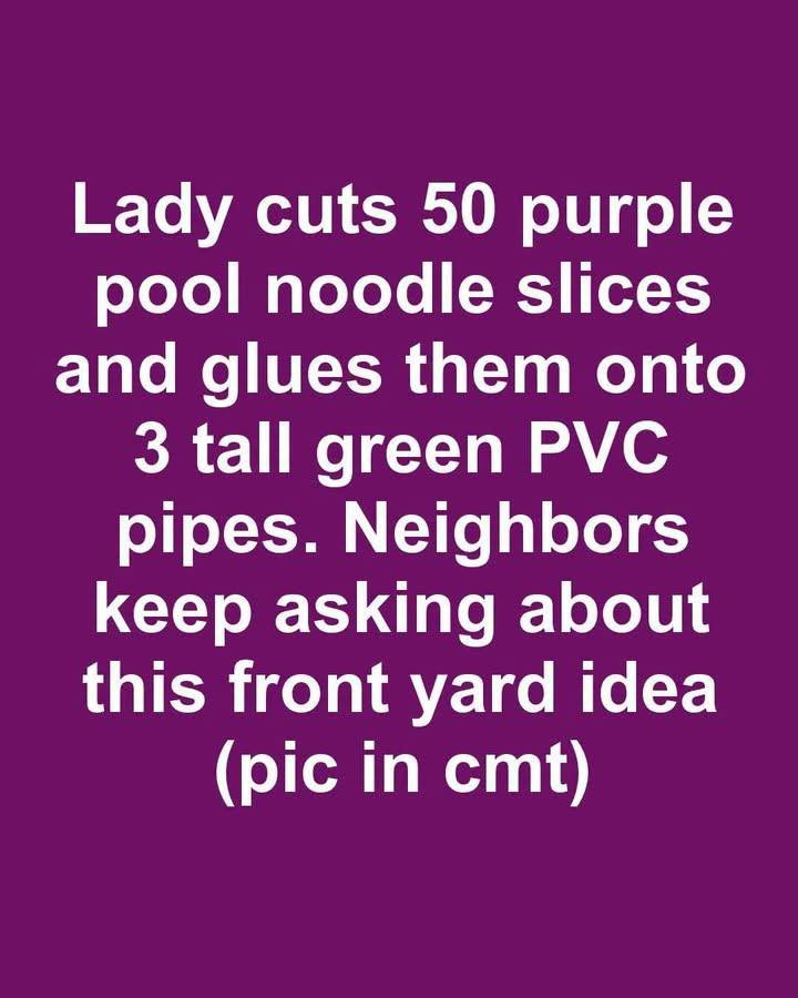 Image 2026 08 12