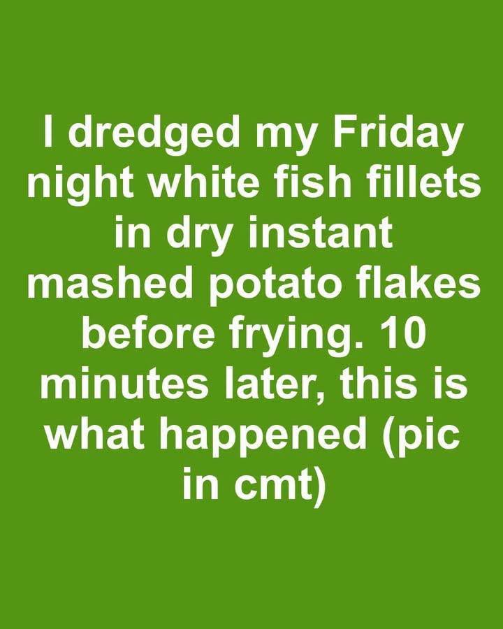 Image 2026 08 25